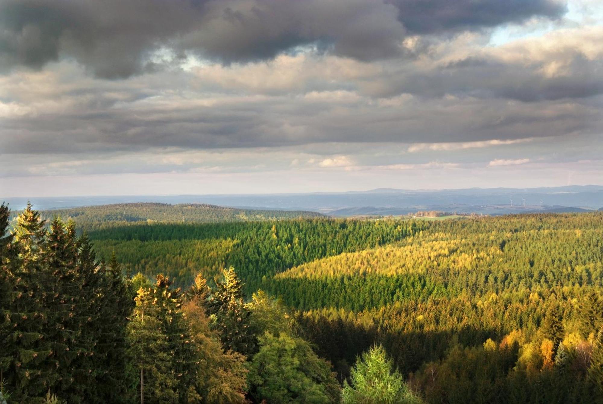 Berghotel Friedrichshoehe Altenberg ภายนอก รูปภาพ